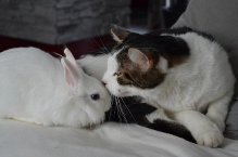 Bisous !.jpg