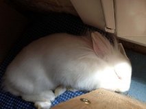 Je dort !.jpg