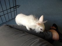 Ta pas un truc a manger !.jpg