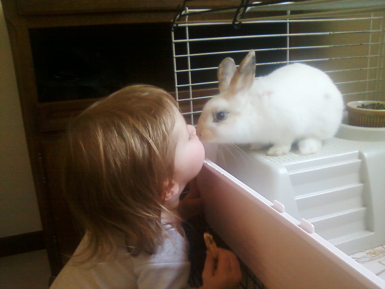 lea et ses lapin 003.jpg