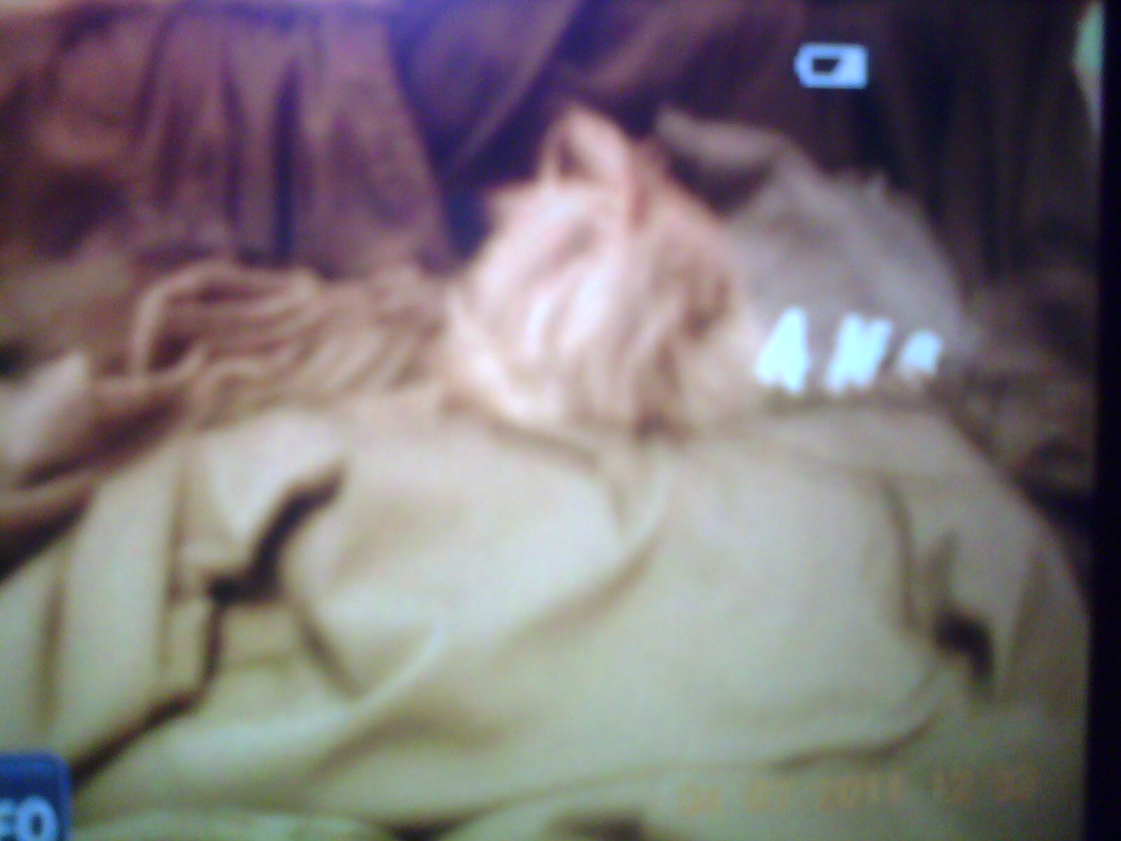 IMG0072A.jpg