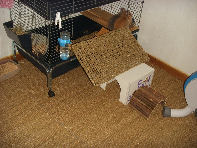 Habitation lapin 2.jpg