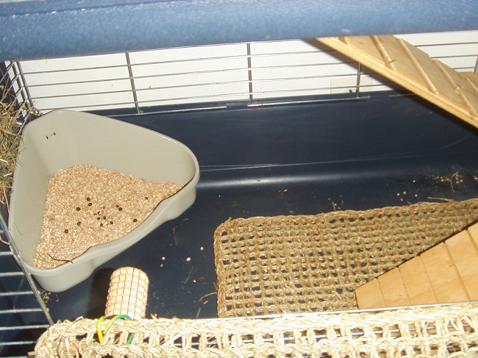Habitation bas.jpg