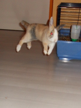 SDC101566666.jpg