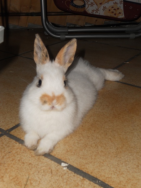 DSCN1074.JPG