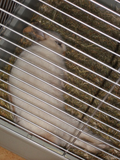 DSCN1230.JPG