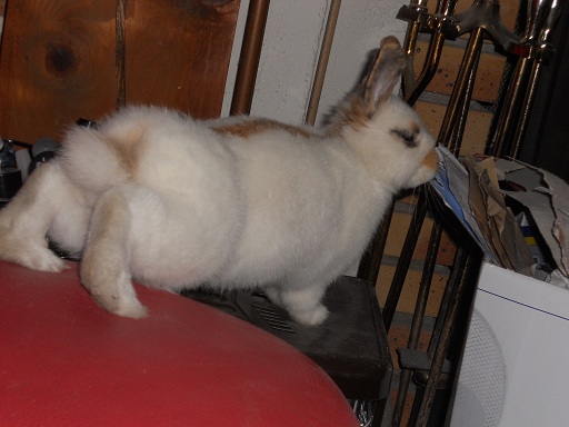 DSCN1208.JPG