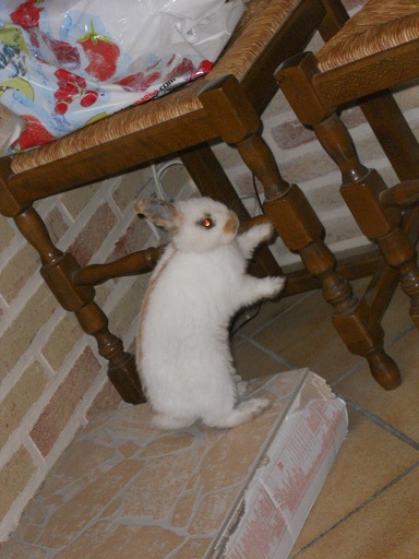 DSCN1266.JPG