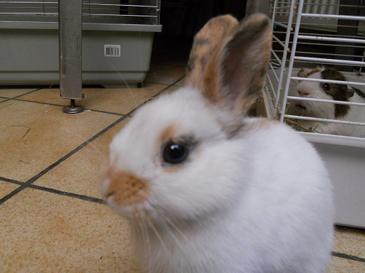 DSCN1286.JPG