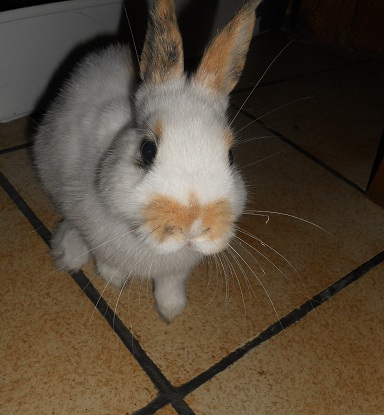 DSCN1139.JPG