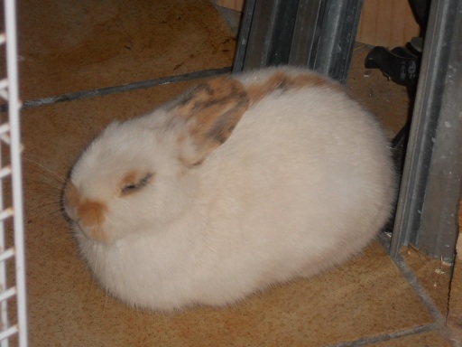 DSCN1324.JPG
