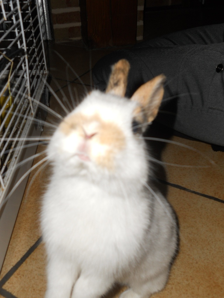 DSCN1346.JPG