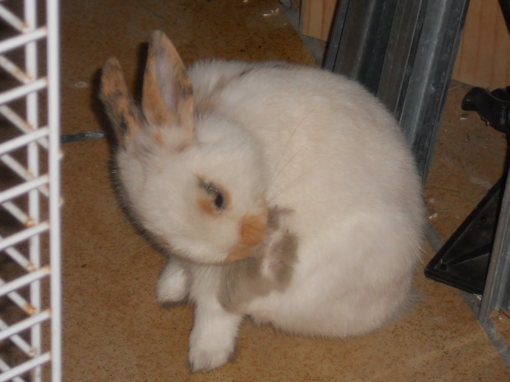DSCN1318.JPG