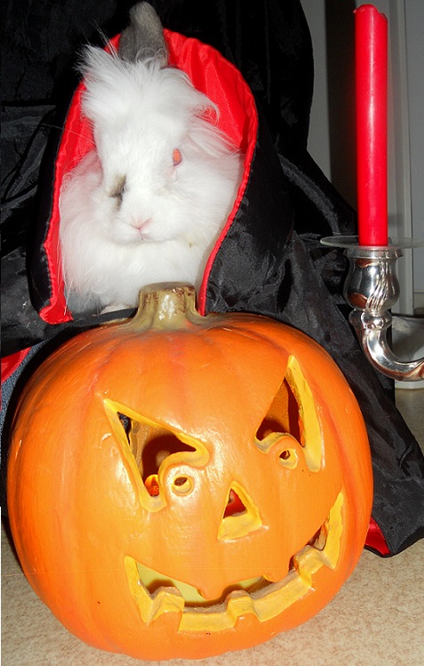 Joyeux Halloween.JPG