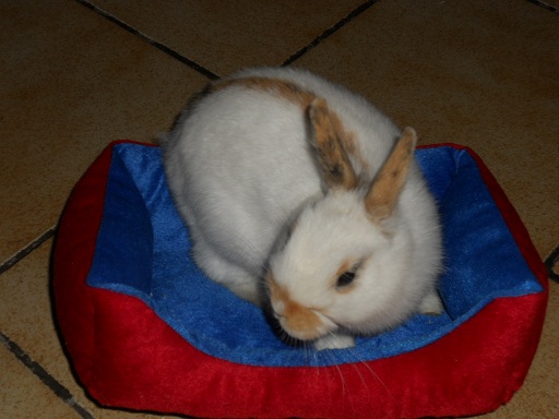 DSCN1445.JPG