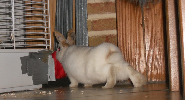 DSCN1418.JPG