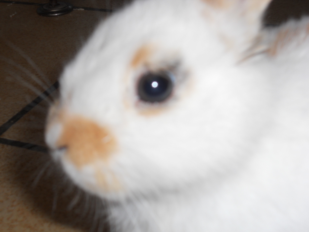 DSCN1284.JPG