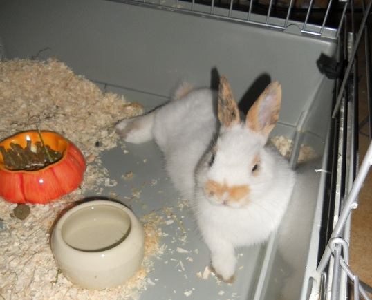 DSCN1359.JPG