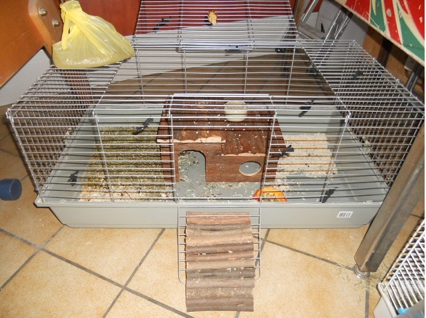 DSCN1516.JPG