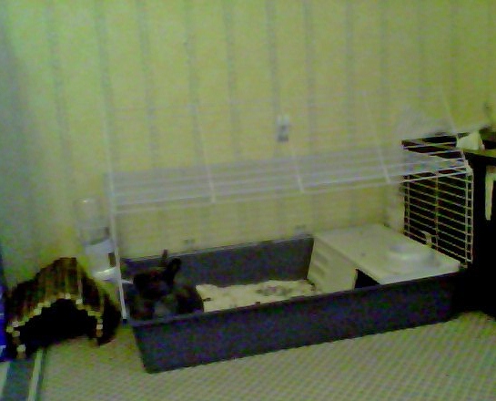 Snapshot_20121201_5.JPG