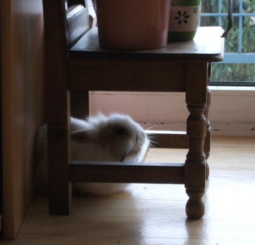 sieste.jpg