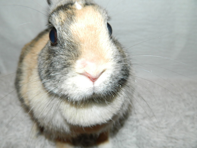 dscn5593.jpg