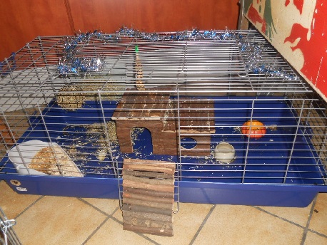 DSCN1869.JPG