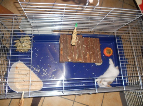 DSCN1853.JPG