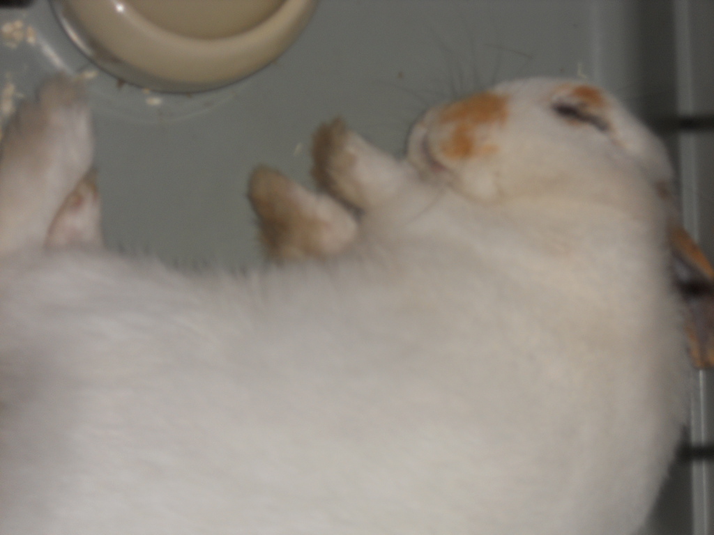 DSCN1756.JPG