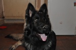 883276DSC0025.jpg