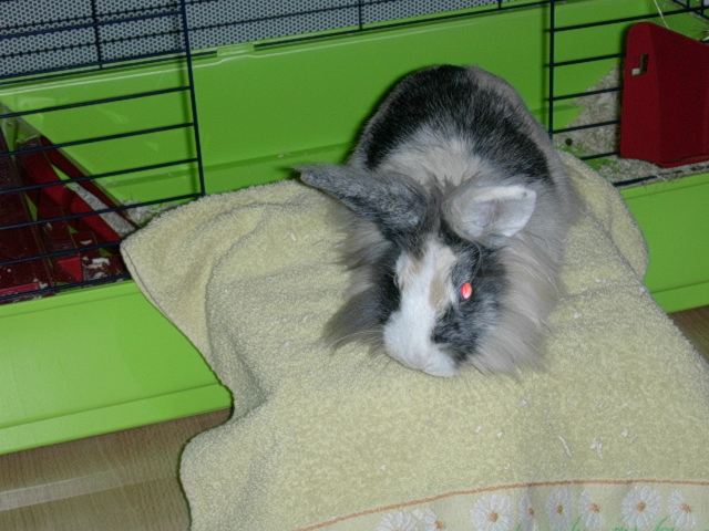 DSCN0888.JPG