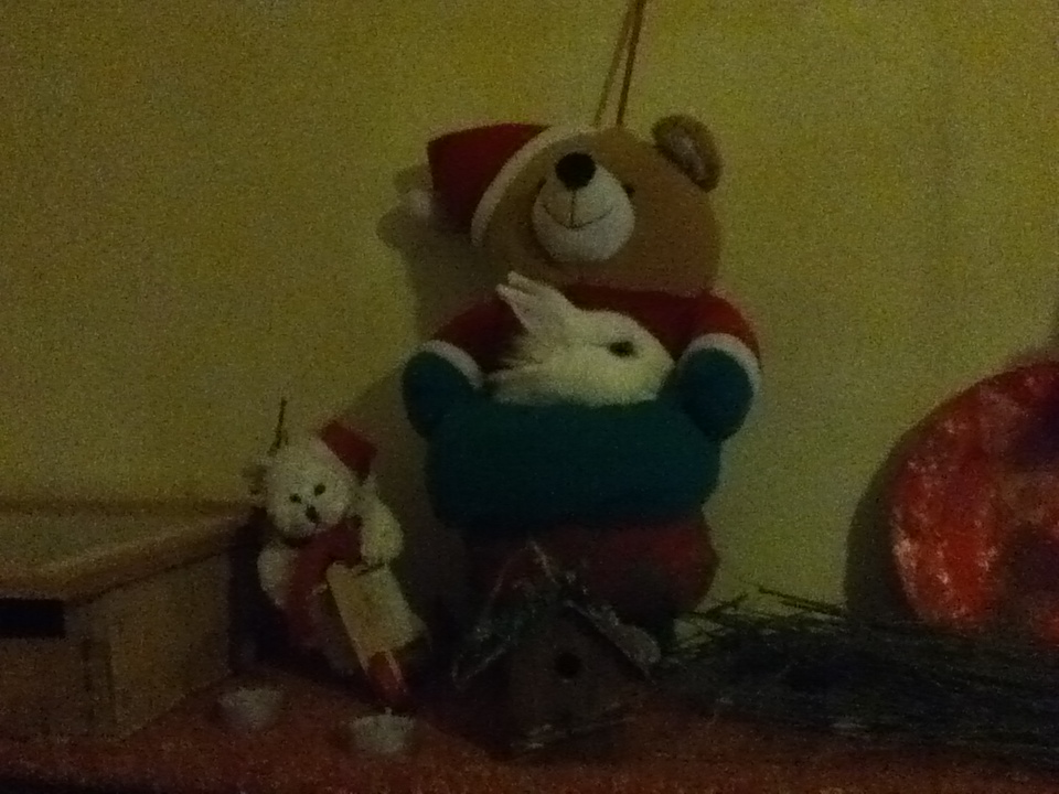 photo.JPG