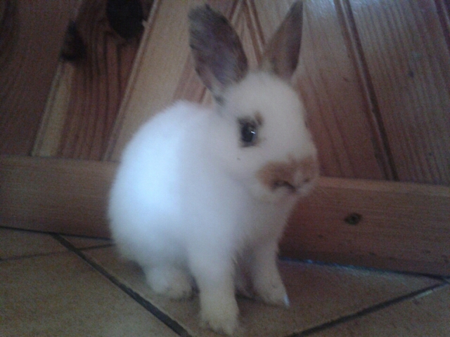 2012-09-08_16.48.17.jpg