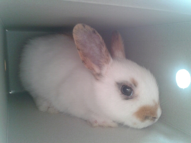 2012-09-08_16.13.21.jpg