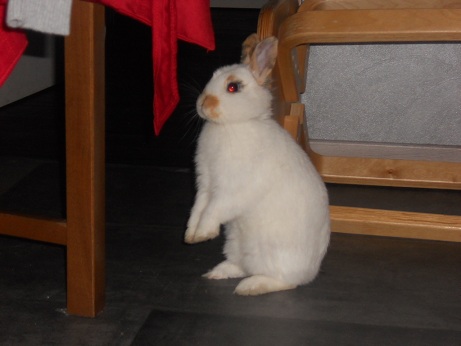 DSCN2003.JPG