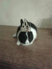 2013011919.58.24.jpg