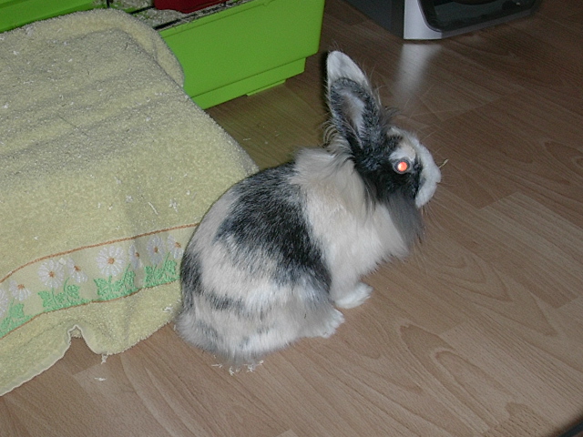 DSCN0893.JPG