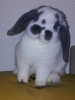2012-12-02 01.35.20 - Copie - Copie.jpg