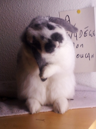 2013-01-29 00.43.51 - Copie.jpg
