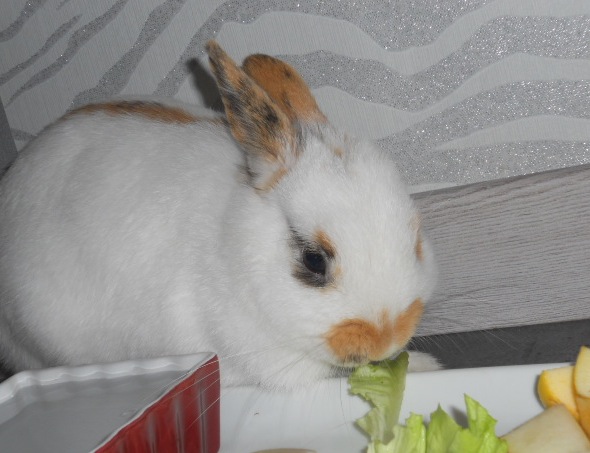 DSCN2084.JPG