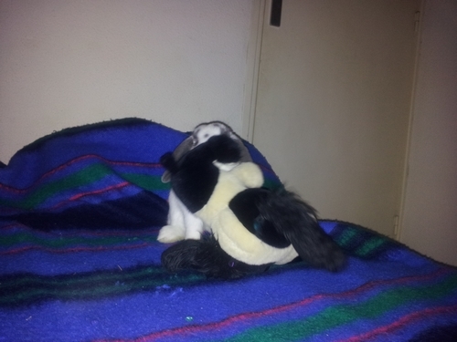 2013-01-01 01.58.30.jpg