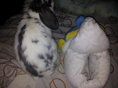 2012-12-10 00.26.50 - Copie.jpg