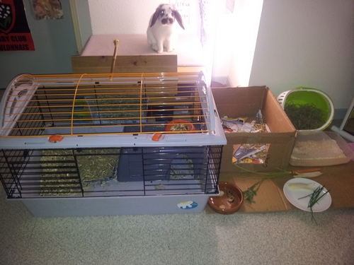 2013-01-27 22.54.00 - Copie.jpg