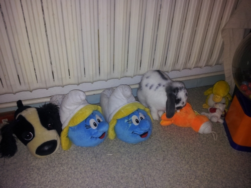 2013-01-07 07.06.59.jpg