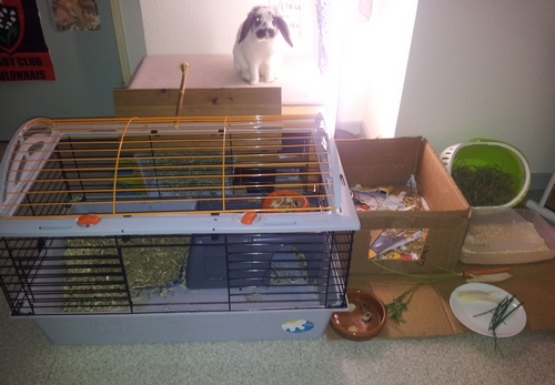 2013-01-27 22.54.00.jpg