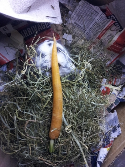 2013-02-08 02.08.28.jpg