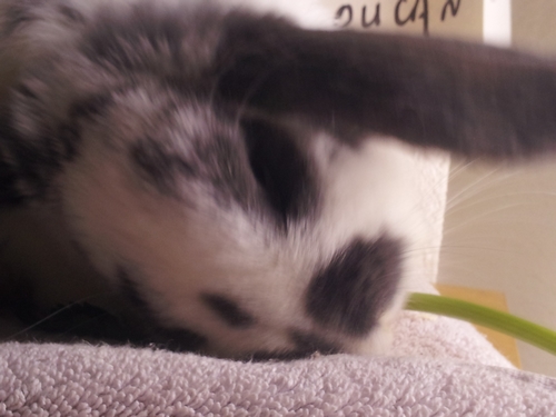 2013-02-09 20.02.31.jpg