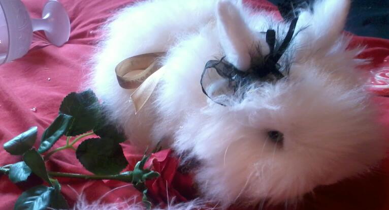 2013-02-13 16.01.55-1.jpg