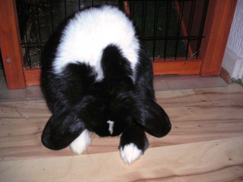 DSCN3607.JPG