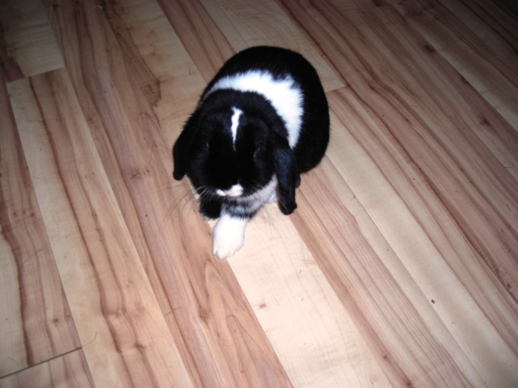 DSCN3690.JPG